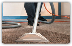 Cheap Carpet Cleaning